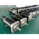 42mm BLS Series Integrated DC Servo Motor and driver